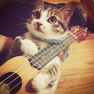 四川真人做爰全过程免费
